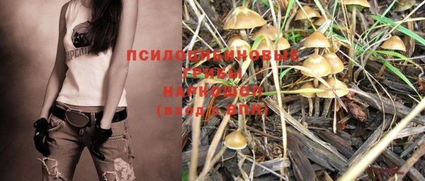 хмурый Бородино