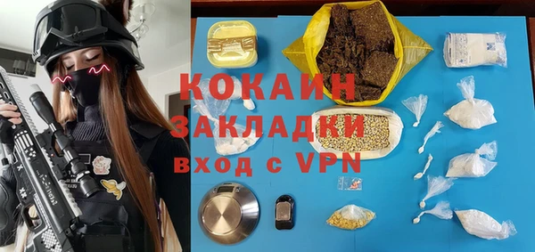 хмурый Бородино