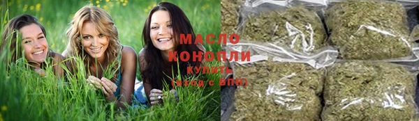 хмурый Бородино