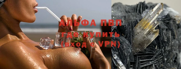 хмурый Бородино