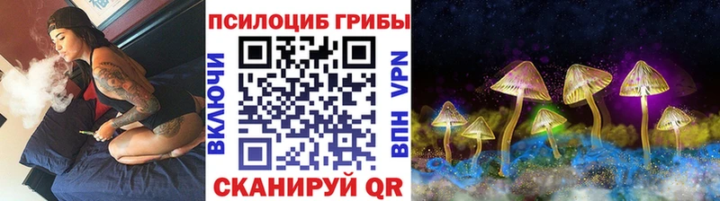 закладка  Болохово  hydra   Псилоцибиновые грибы прущие грибы 